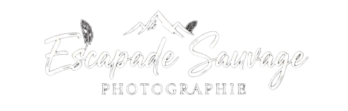 Gemini_Generated_Image_ru4ar6ru4ar6ru4a_1